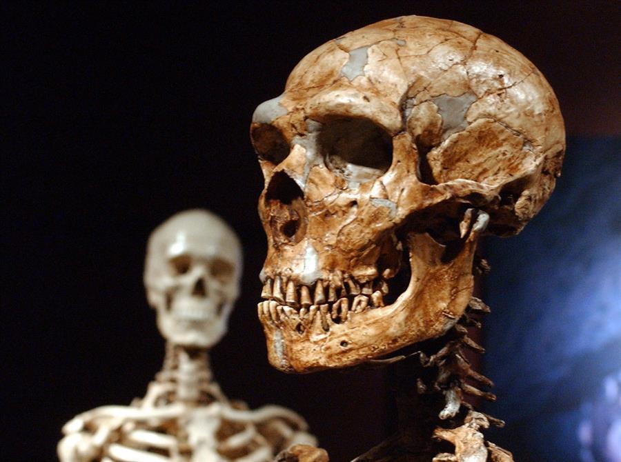 Just 7 percent of our DNA is unique to modern humans