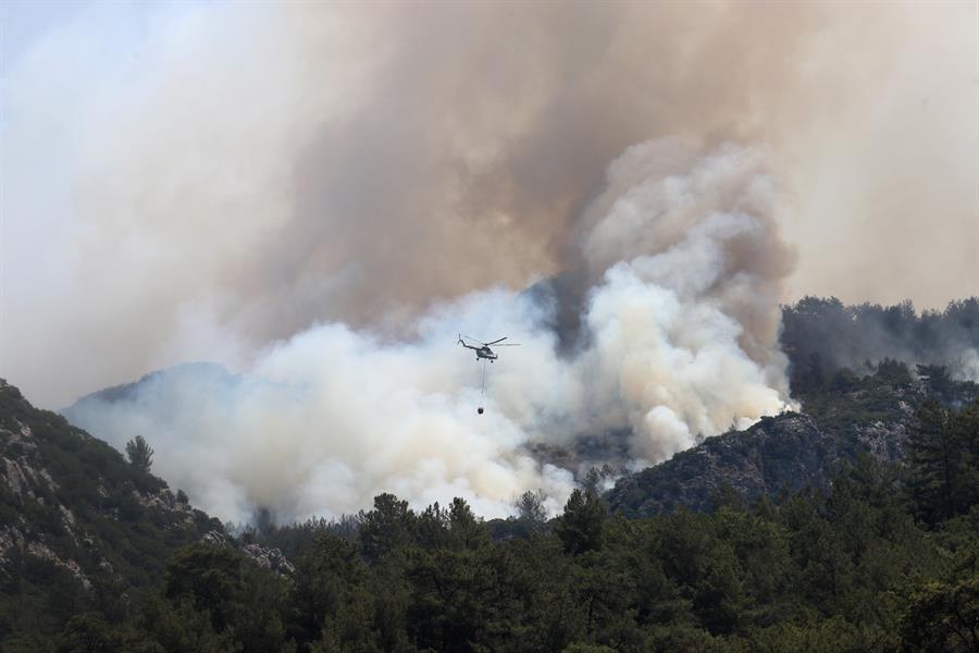 Two children accused of Marmaris fire say they were burning books