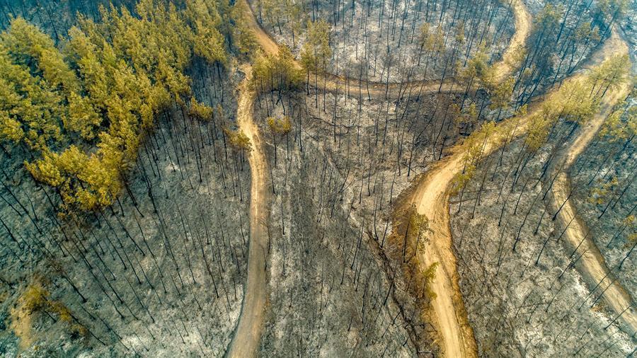 Probe underway, teams search for trace of arson in fires in Turkey’s south