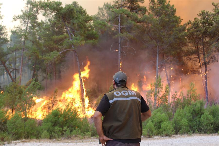 Two more die in southern Turkey forest fires, death toll at six