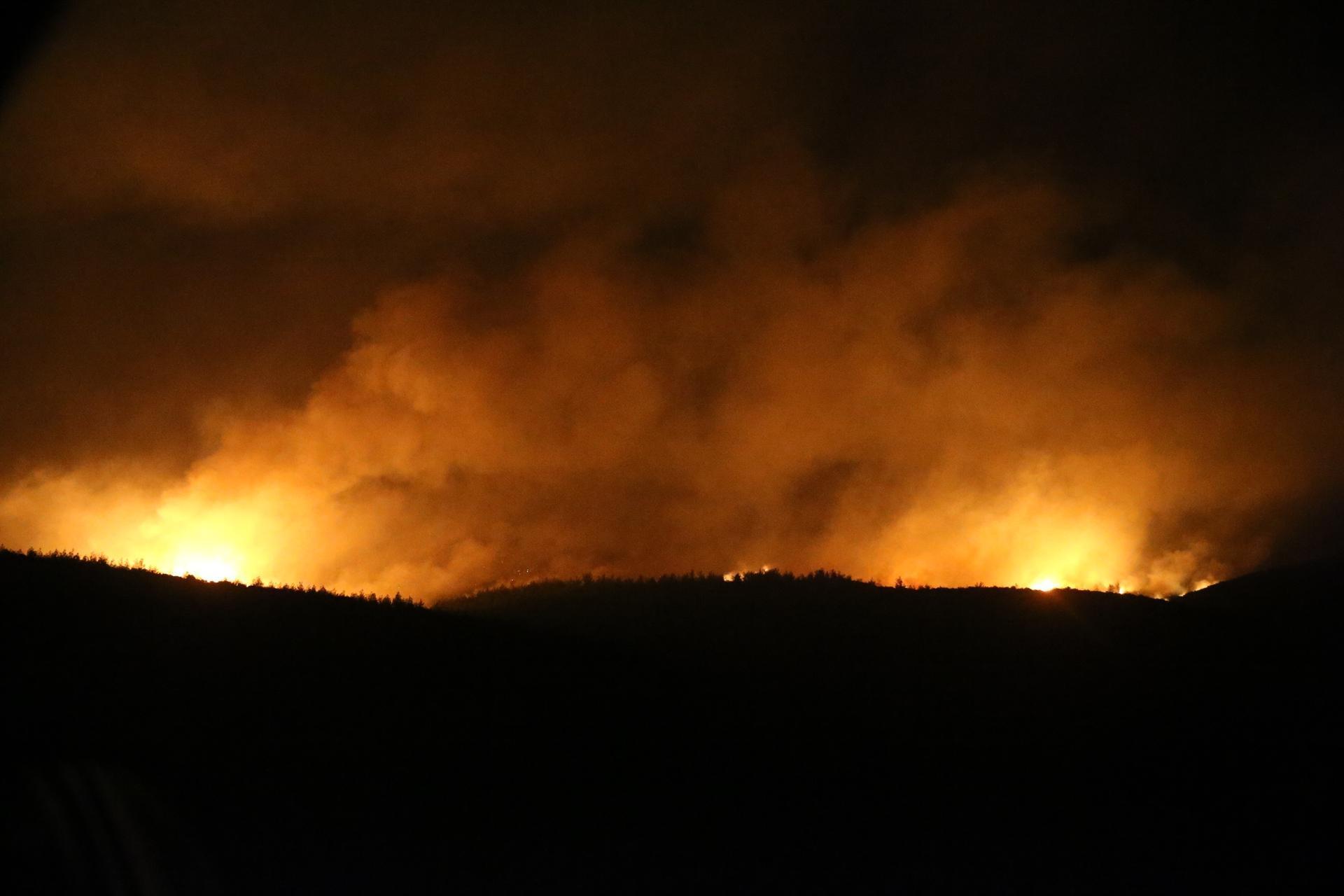 Efforts continue to put out forest fires as death toll rises