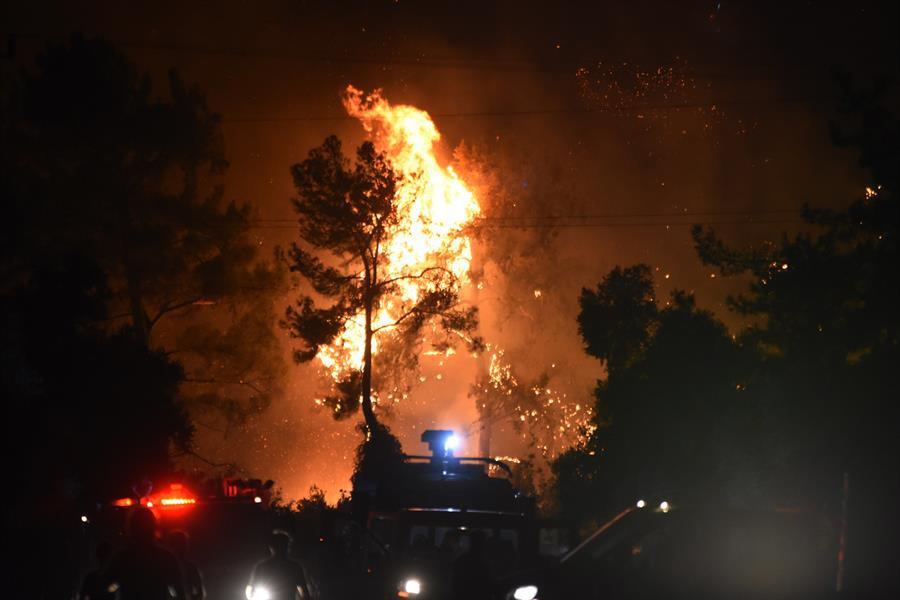 Fight against wildfires continues for 7th day