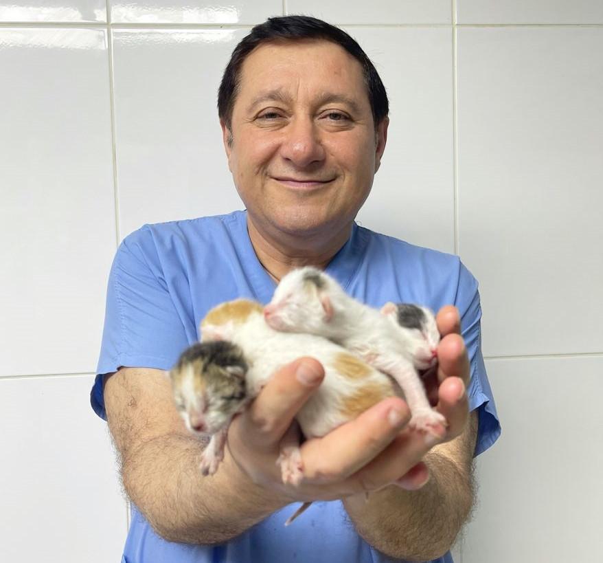 ‘Dr House’ gives hope to animals with hard-to-treat conditions