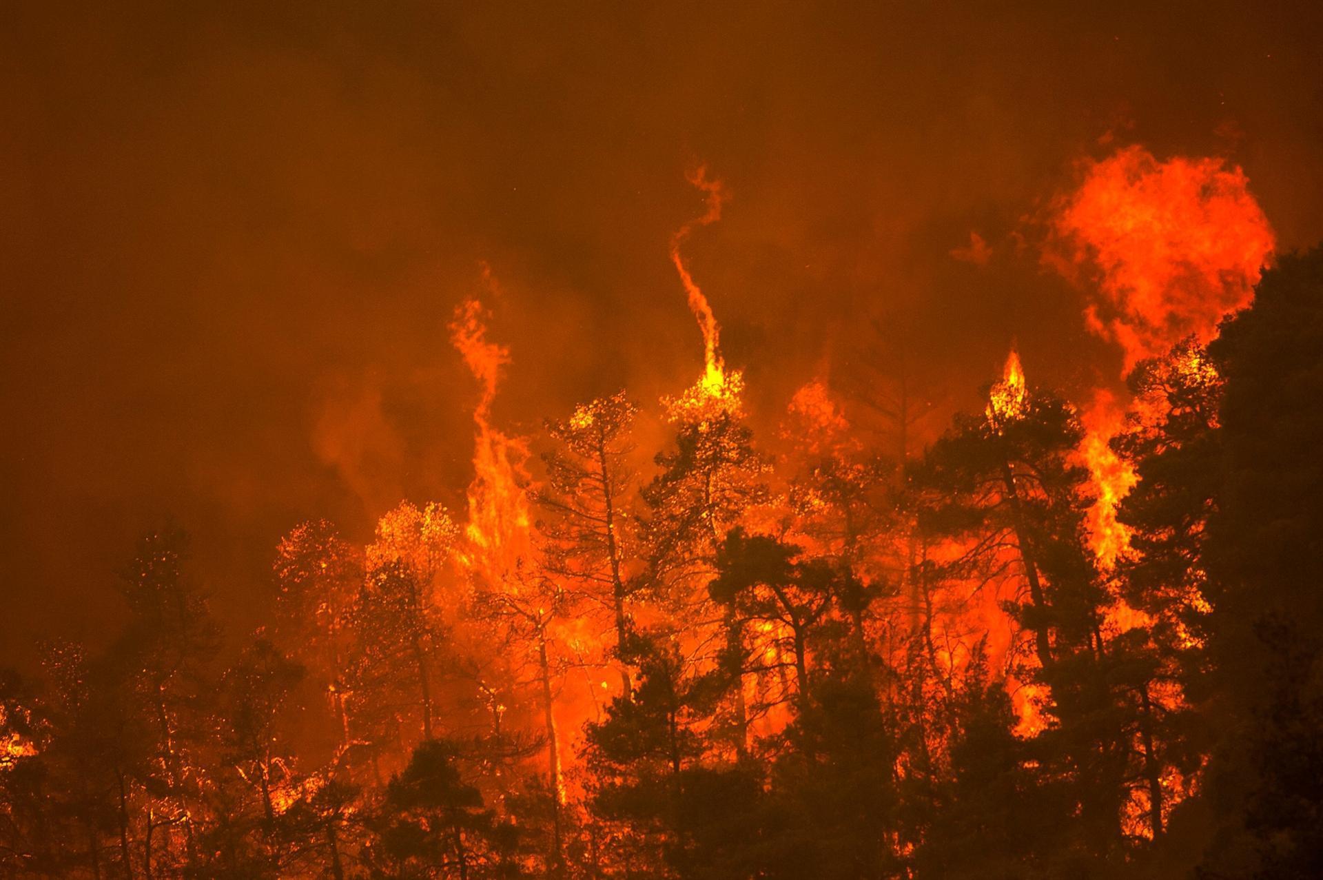 Wildfires rampage in Greek forests, cut large island in half