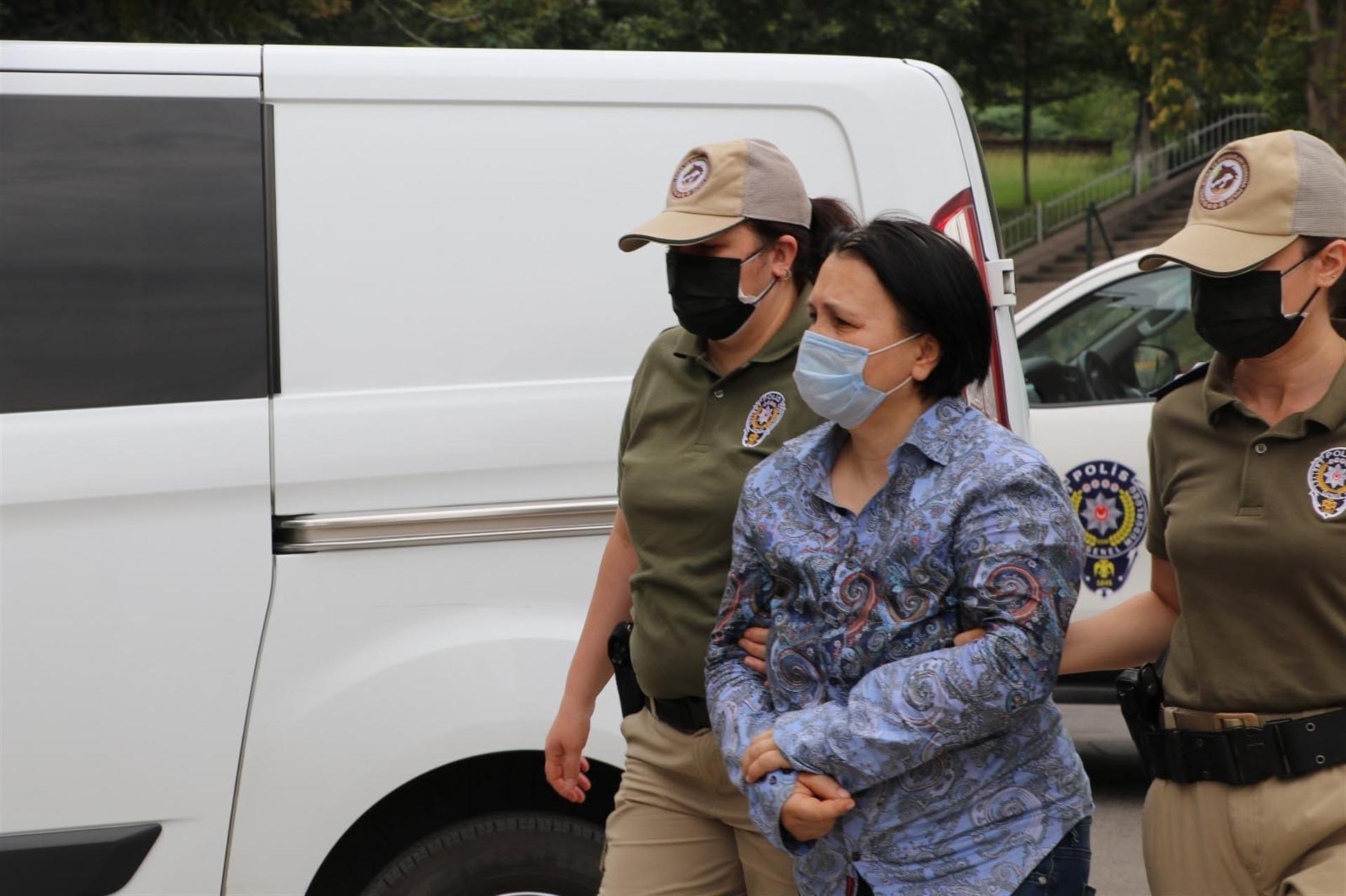 Owner of garden where 11 dead dogs found arrested