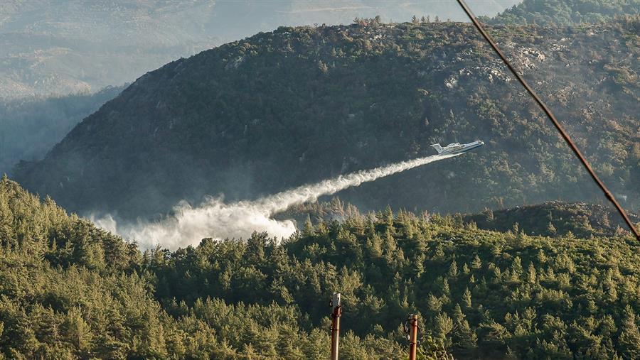 All forest fires brought under control in Turkey except two: Minister