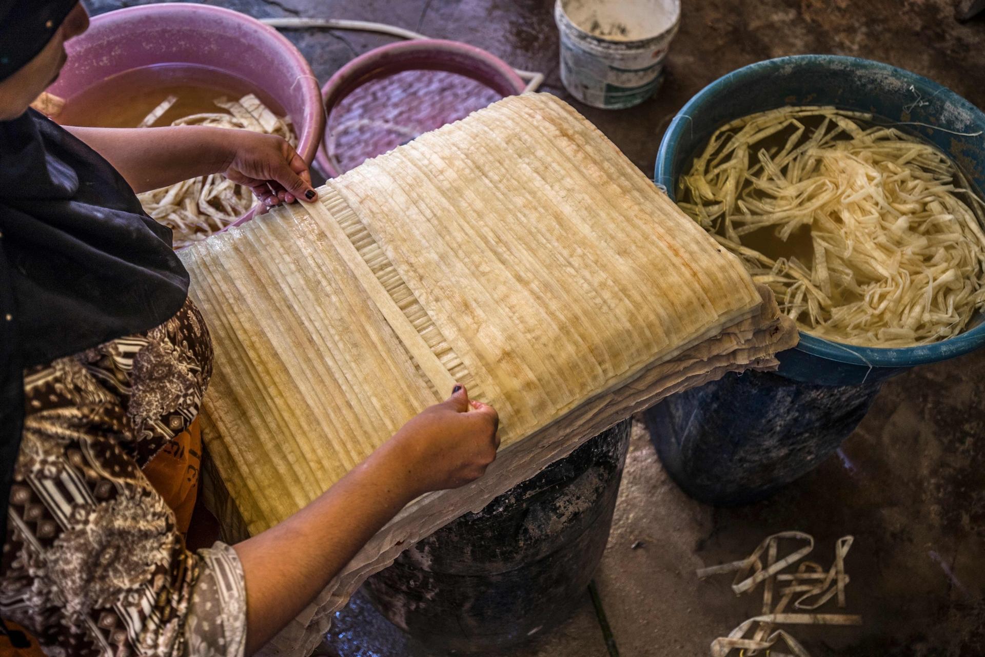 Egypt papyrus makers keep tradition alive