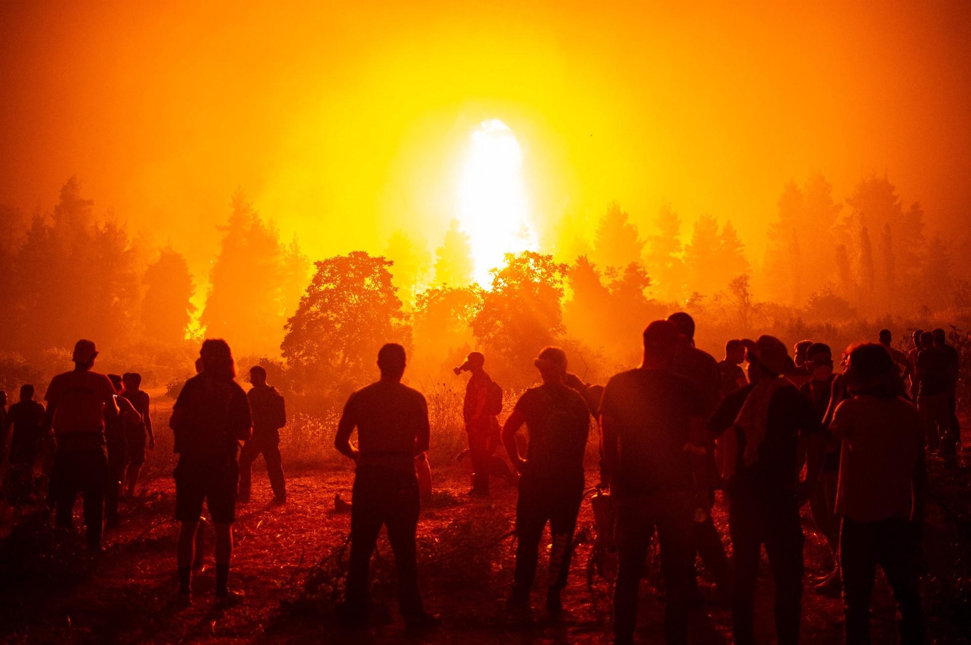 PM apologises as Greece counts costs of wildfire catastrophe