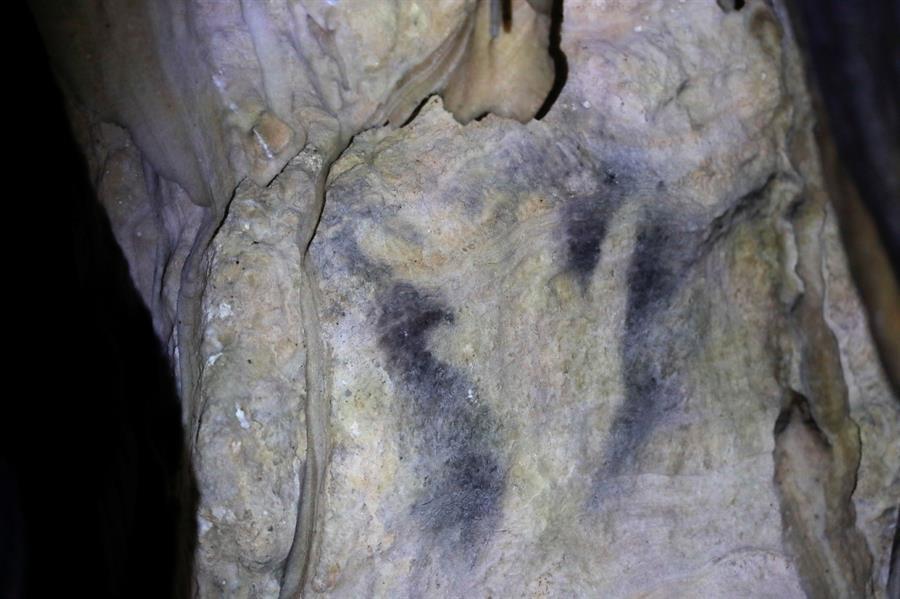 Prehistoric cave paintings show Neanderthals were artists