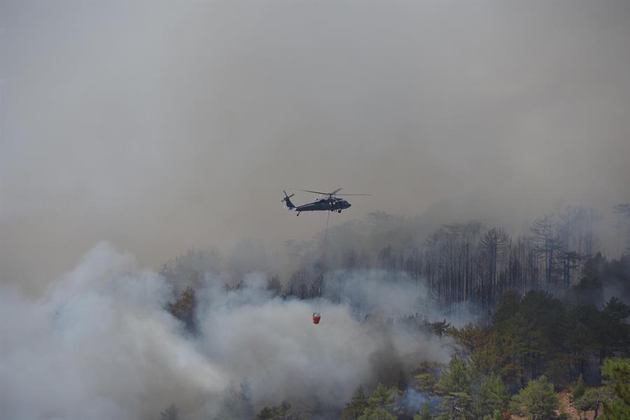 Some 274 blazes contained, 1 ongoing in southwestern Turkey: Minister