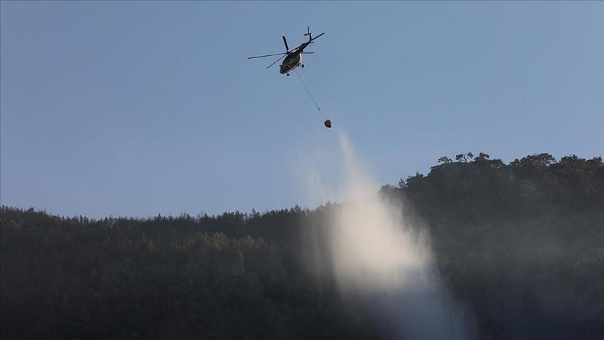 All wildfires in Turkey under control: Minister