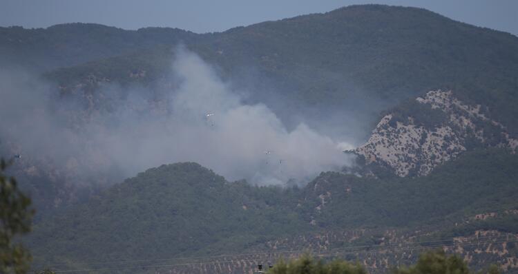 Wildfires break out in Balıkesirs Kazdağları mountain area