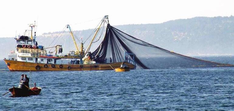 Fish caught from Marmara Sea safe to eat, say experts