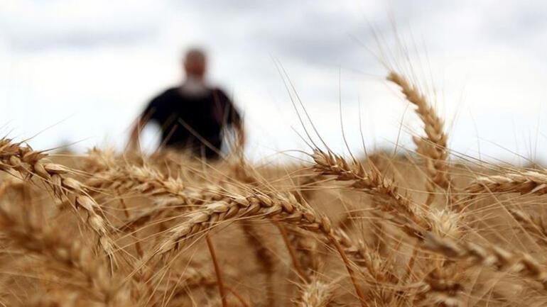 Turkey cuts grains import customs duty to zero until year-end