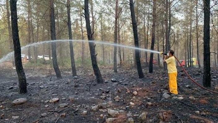 Expert proposes to sell burned trees, use money in fight against wildfires