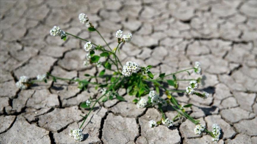 Turkey to gather council in 2022 to fight negative effects of climate change