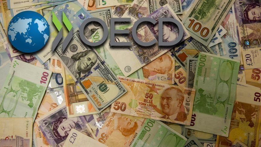 High energy, food prices: OECD area inflation at 4.3% in August