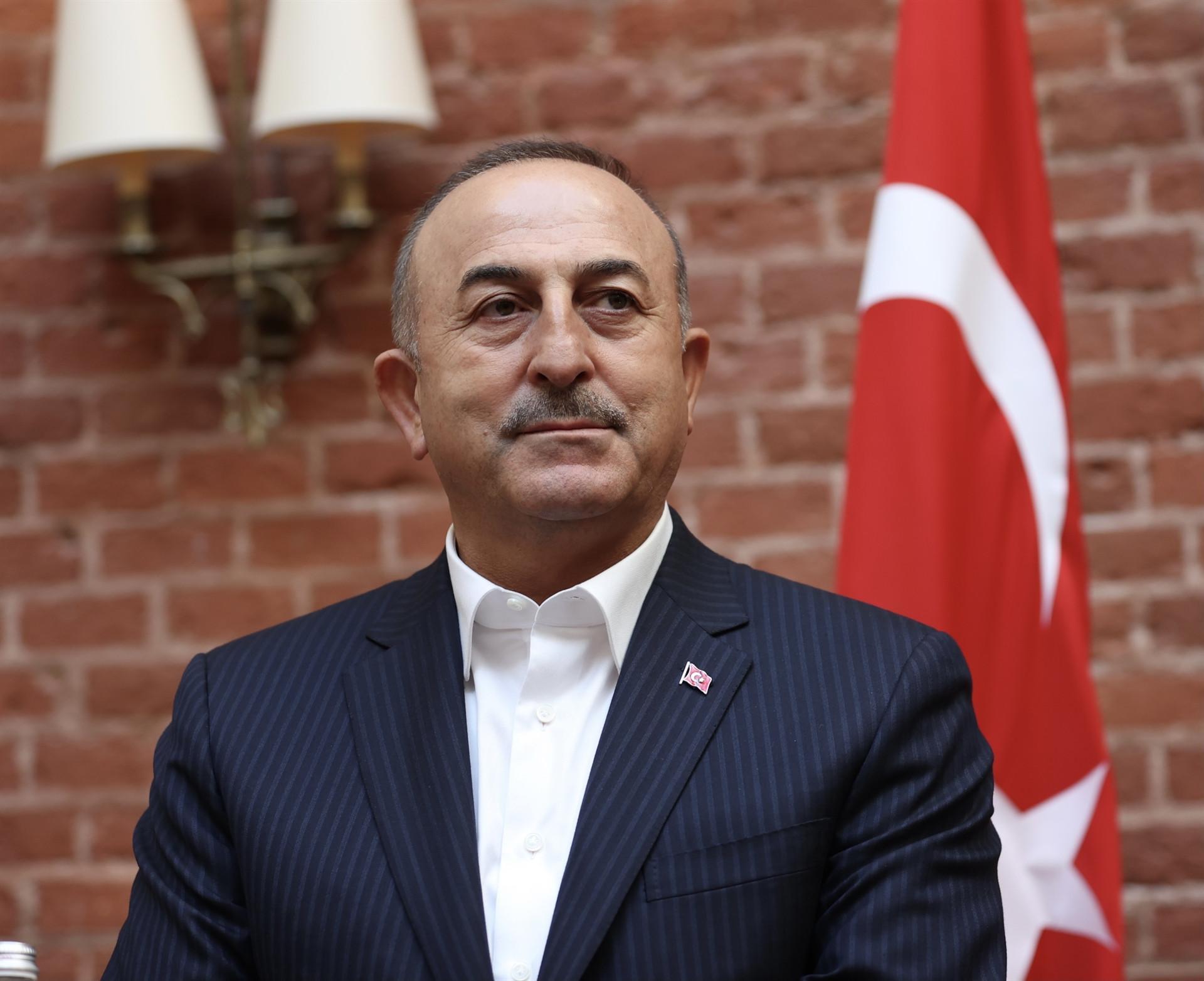 Turkey criticizes French president over Algeria remarks