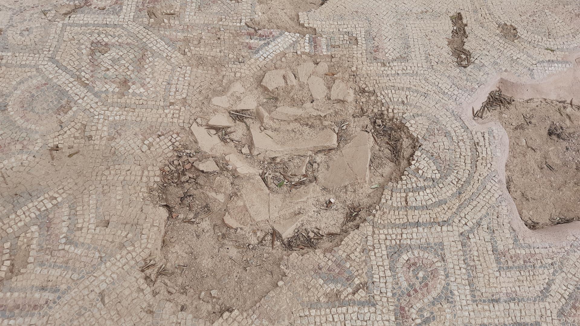 Mummified skeletons found in Turkey’s west