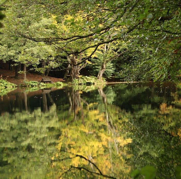 Yedigöller welcomes season of romance with all colors of nature