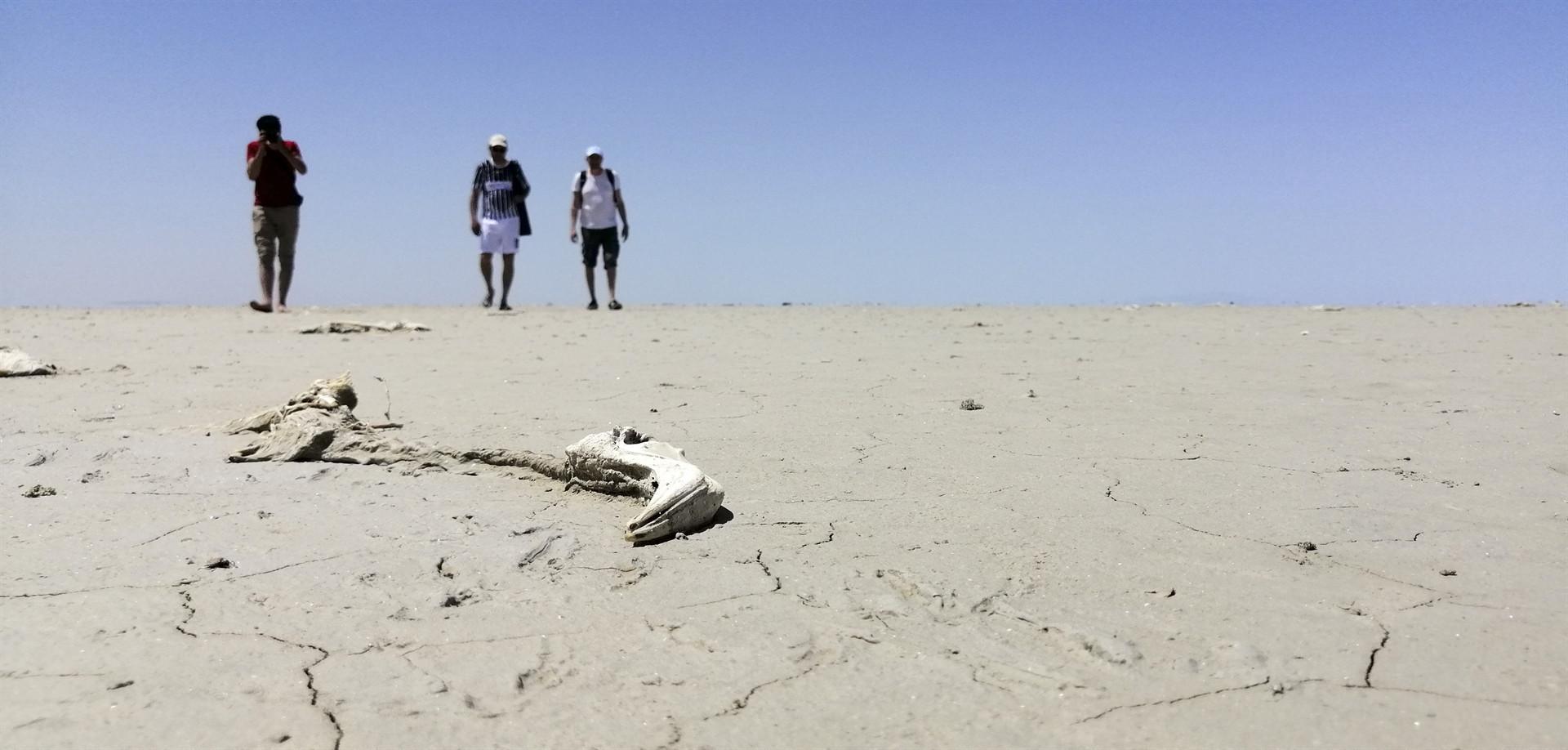 Lake Tuz may be on brink of extinction in years: Academic