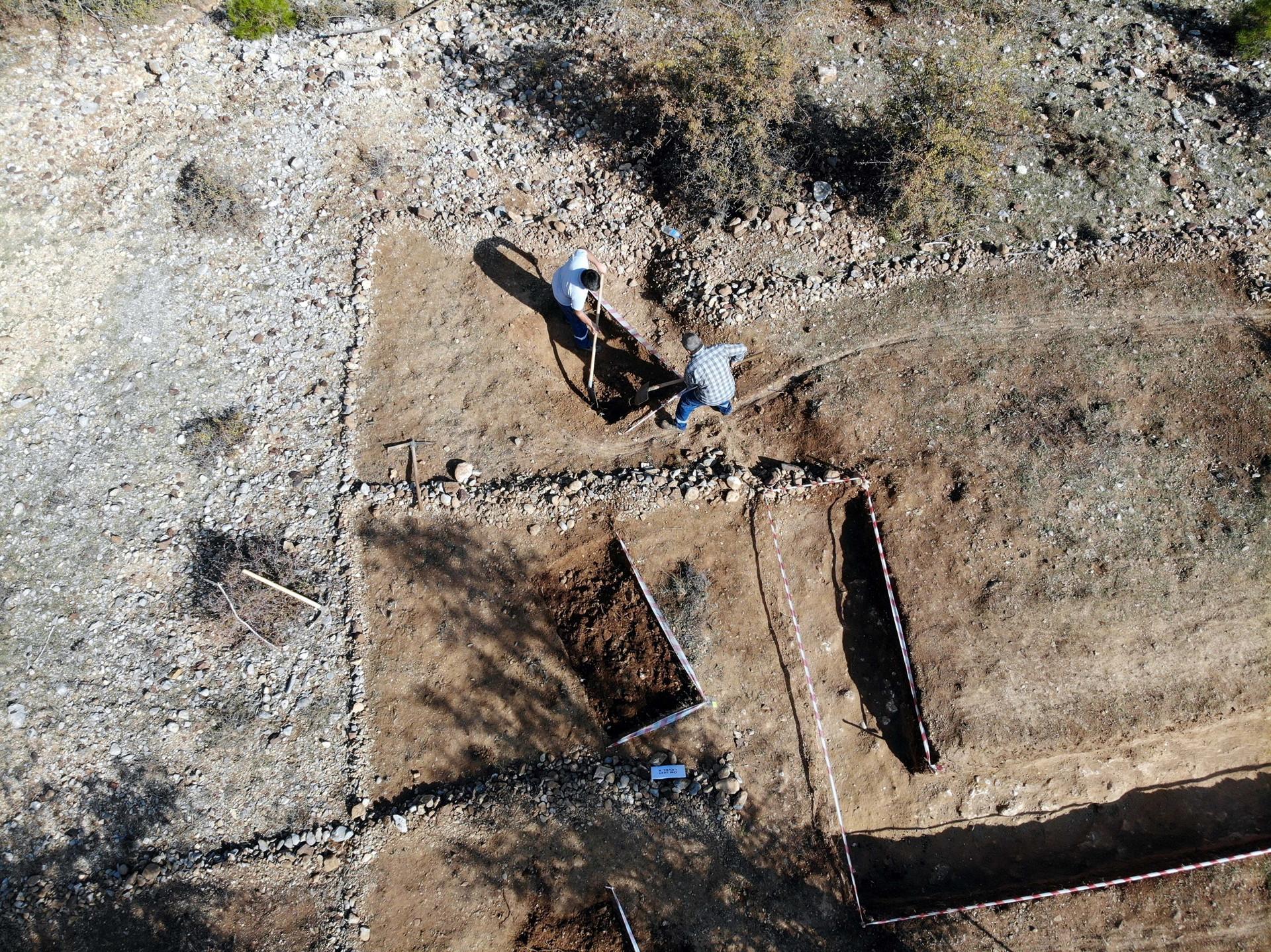 New finds unearthed in Muğla’s fossil area