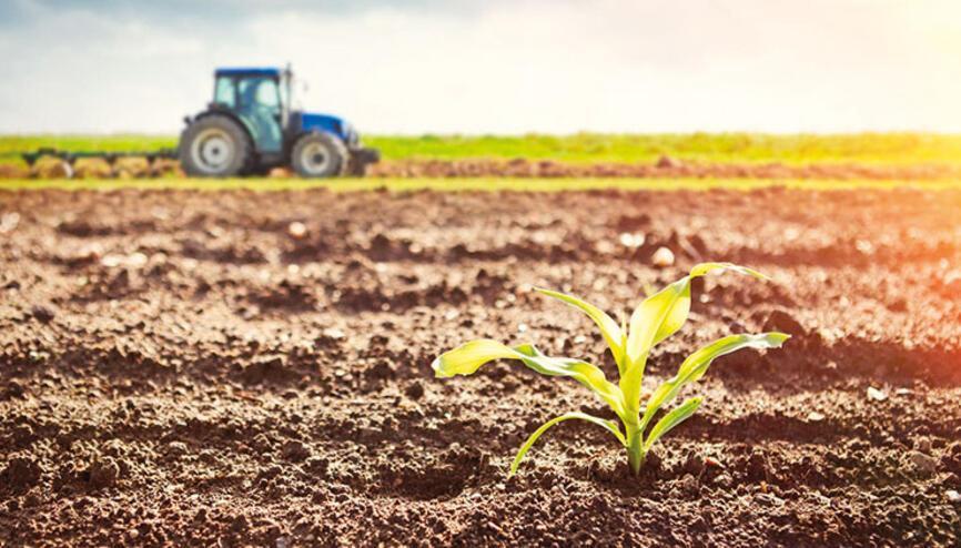 Food security at risk as drought frequency surges, says association head
