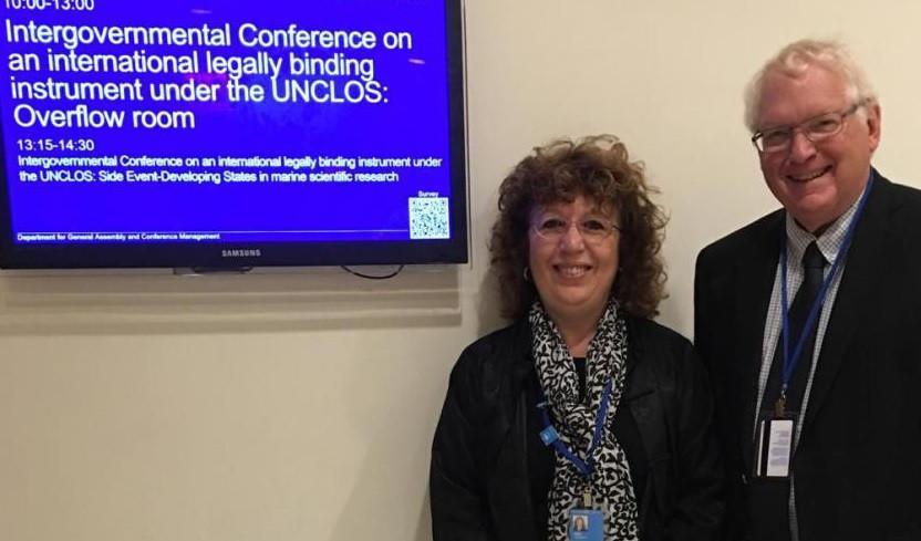 Academic re-elected as UN International Law Commission member