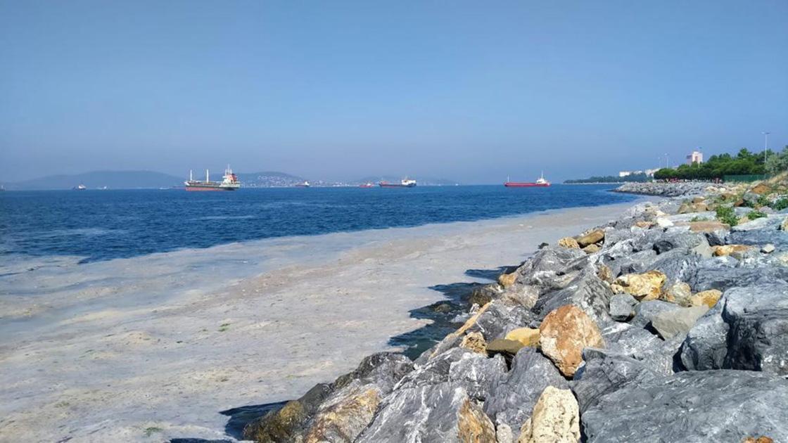 Marmara Sea’s mucilage problem will be over in three years: Minister