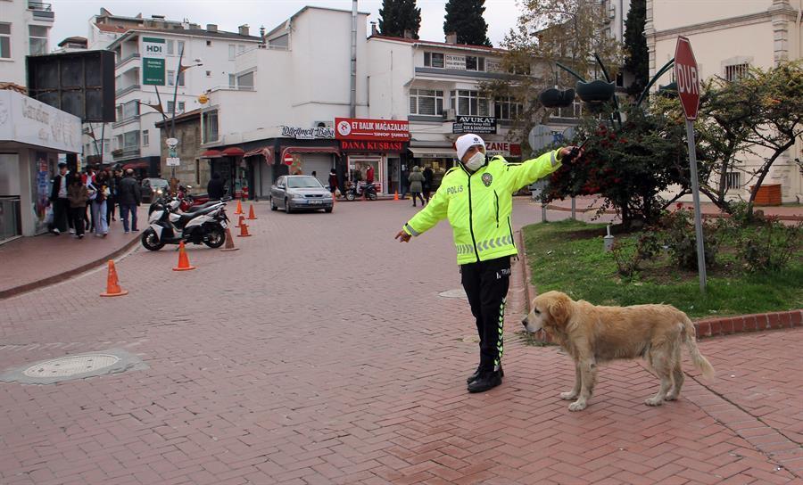 Turkish traffic cop, stray dog become best friends