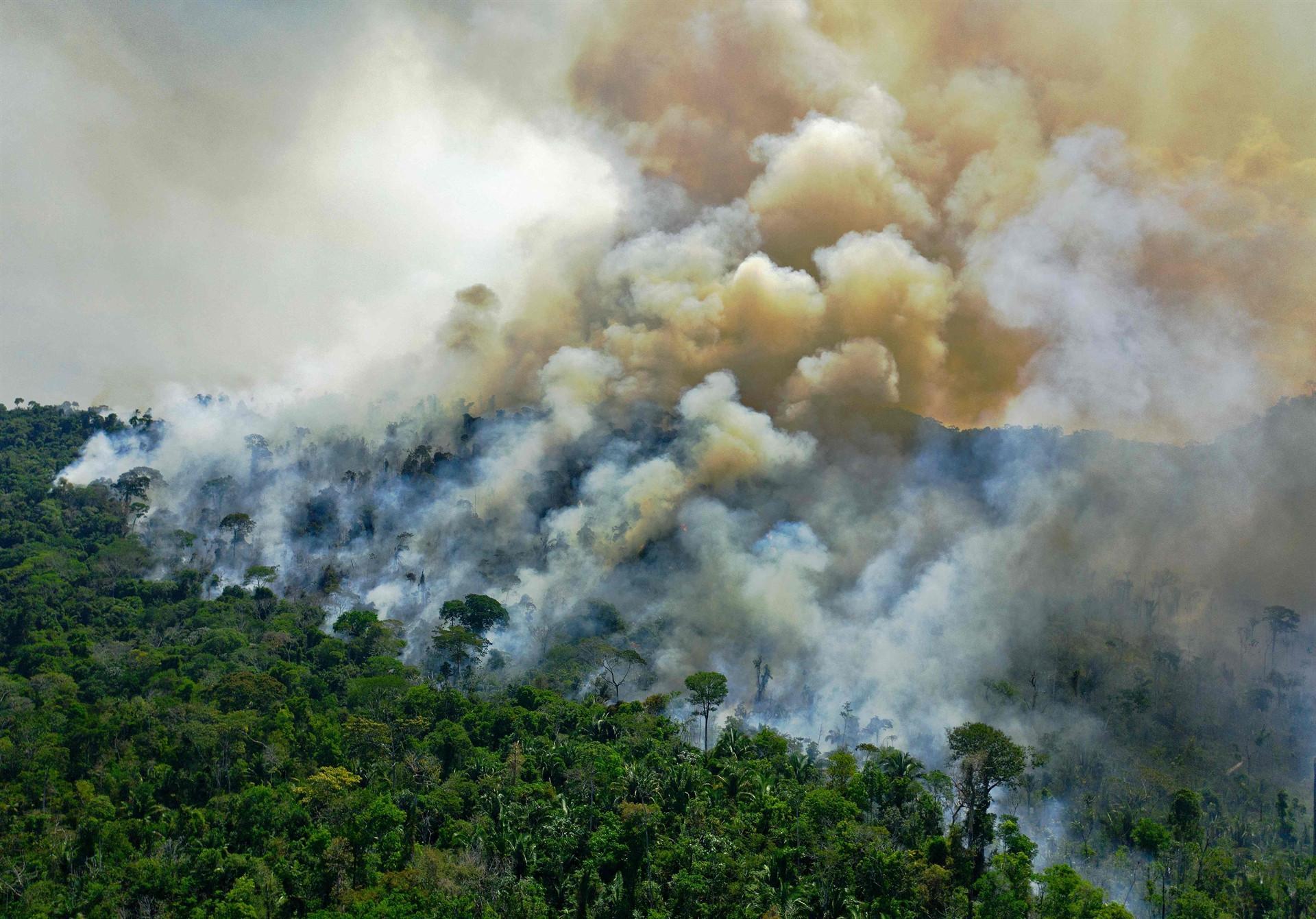 Brazil Amazon deforestation up 22 pct in a year, 15-year record