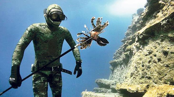 Invasive lionfish added to menus in Turkey for consumption