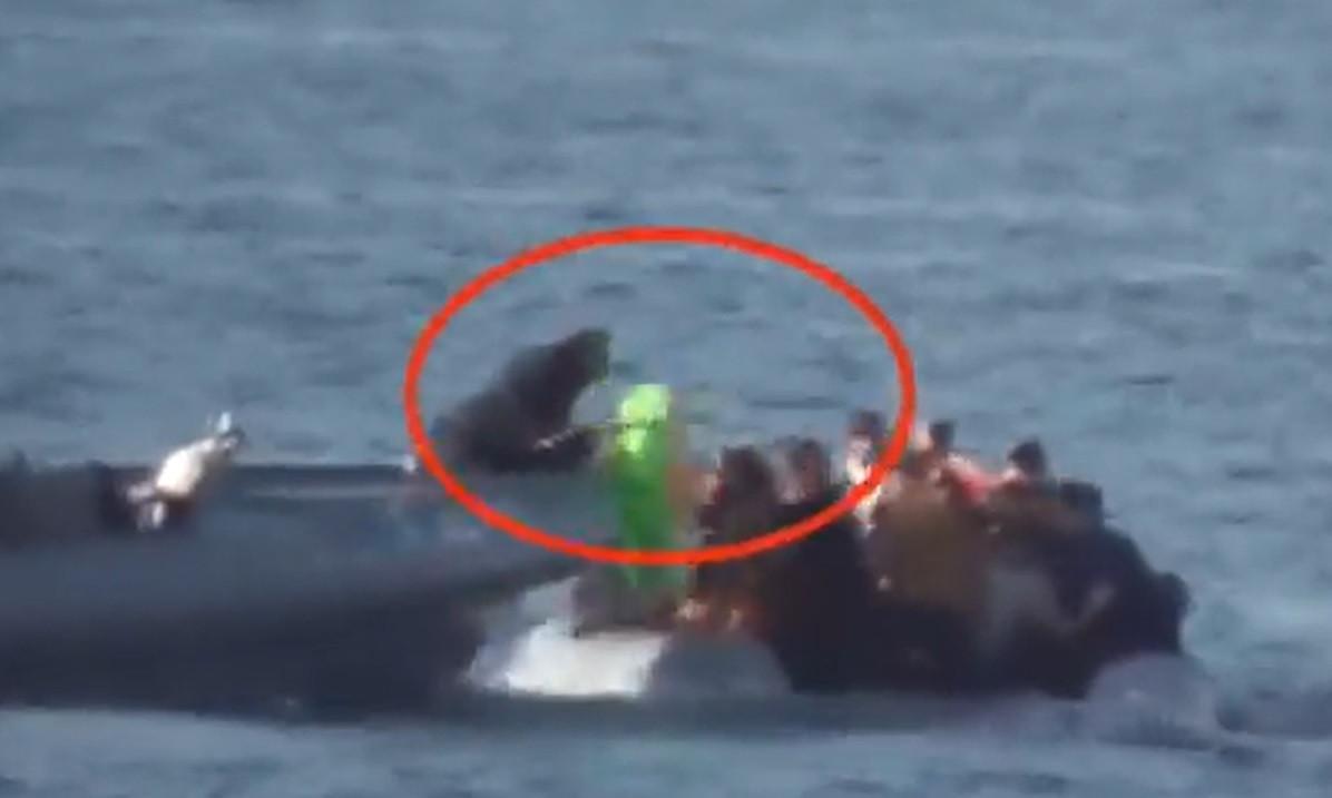 Violence against migrants by Greek forces continue