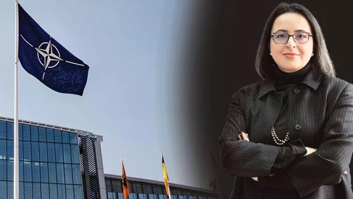 NATO appoints Turkish academic to key position