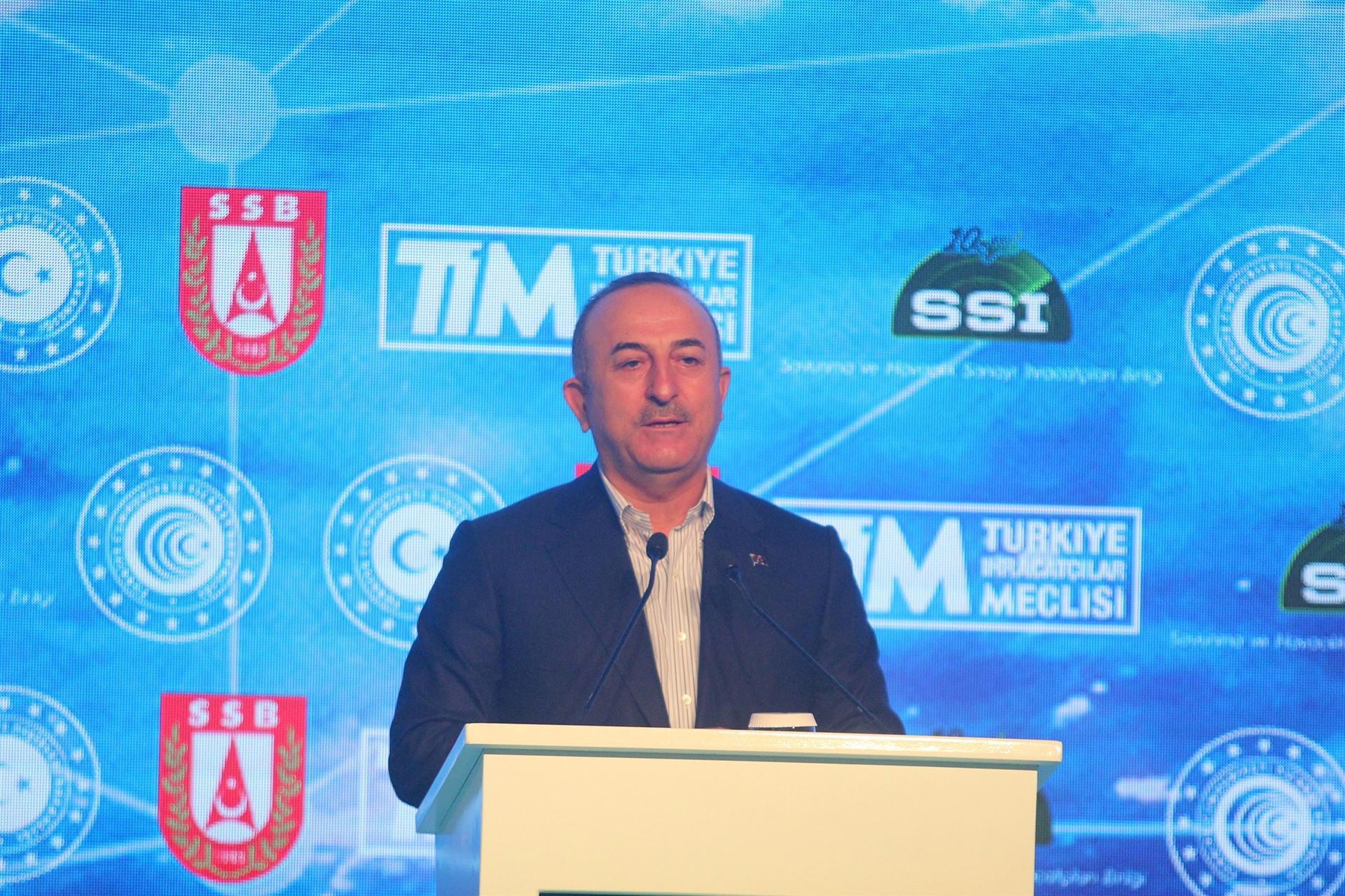 NATO, EU states interested in export of Turkish drones: Foreign minister