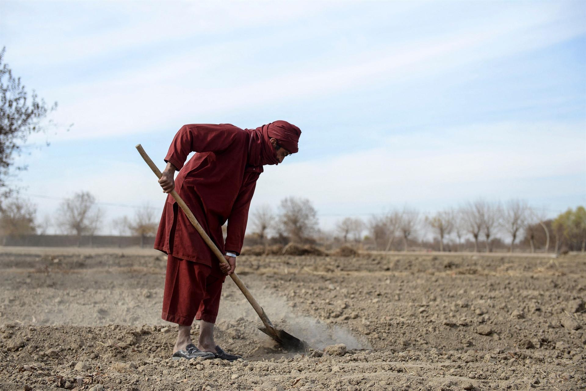 World Bank says donors approve release of $280 mln for Afghanistan