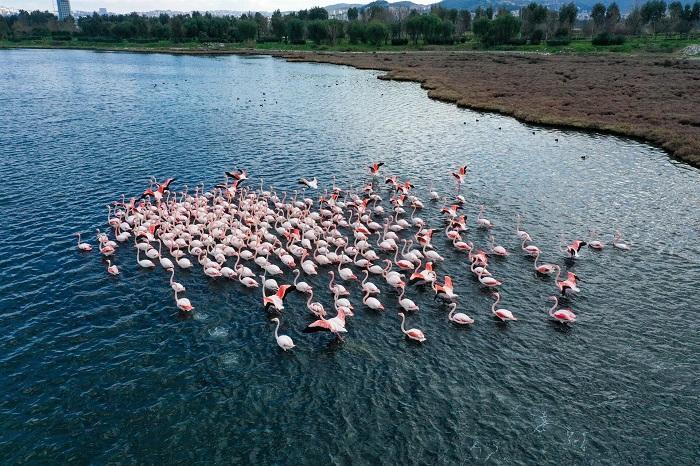 Famous wetland home to Turkey’s one-third of bird species