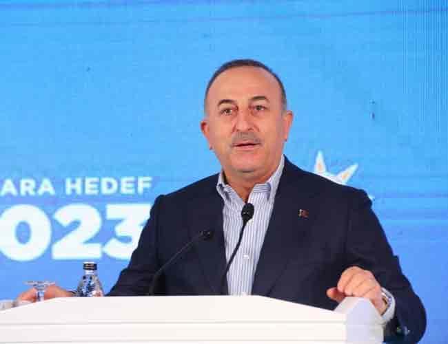Turkic states to lend support to Kazakhstan: Çavuşoğlu