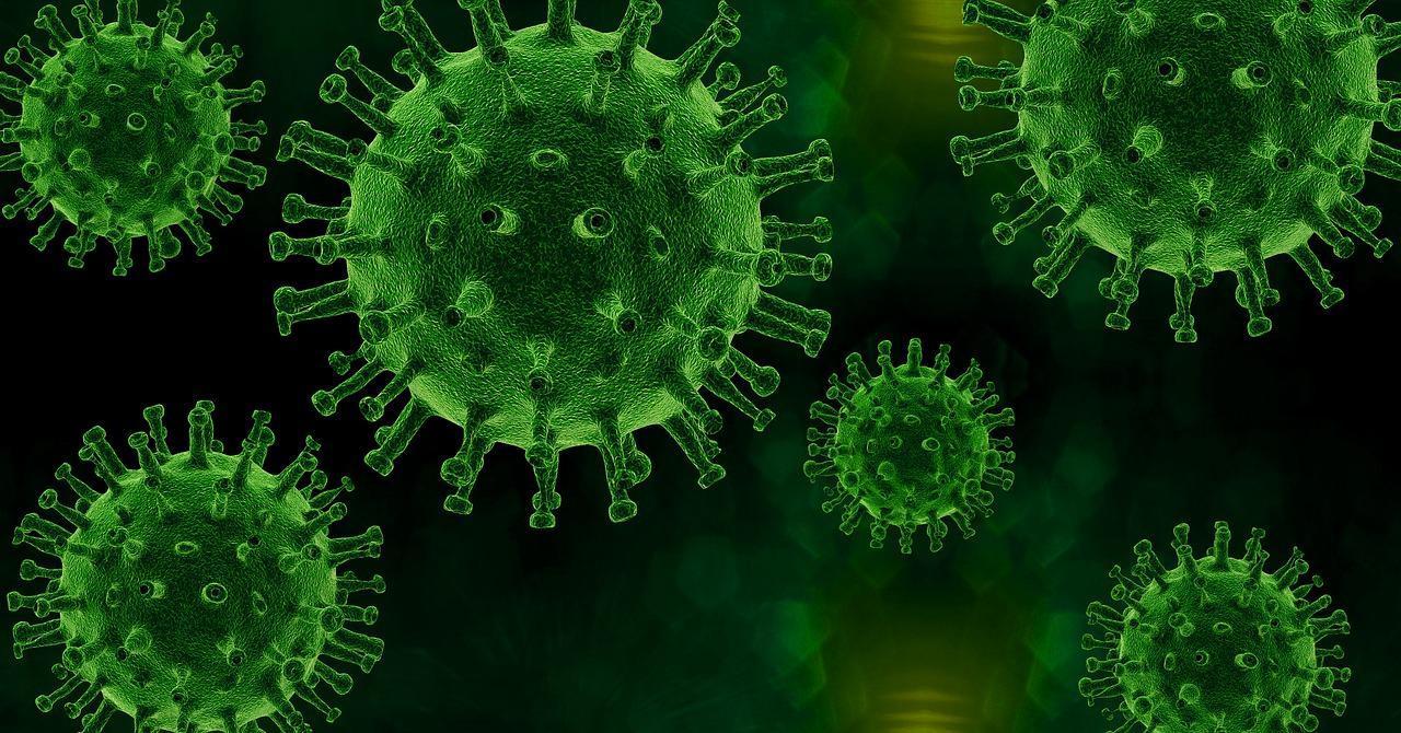 WHO says pandemic ’nowhere near over’ as France, Germany post record cases