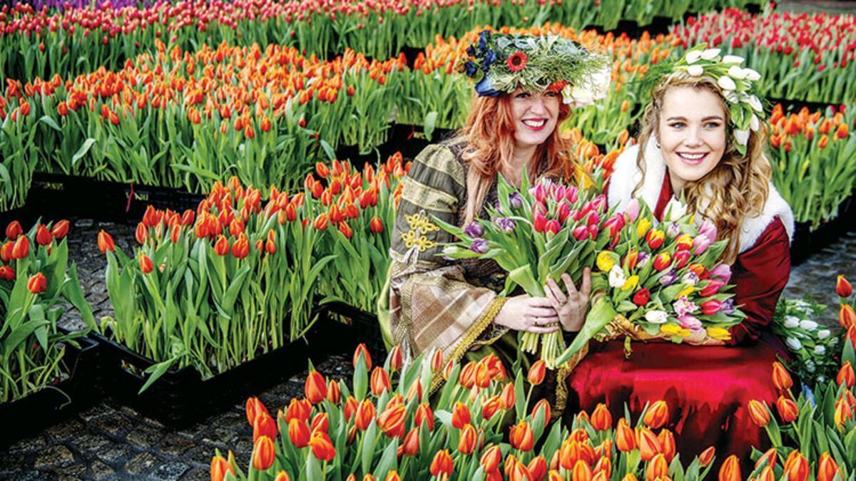 Growers hand out free flowers in Amsterdam