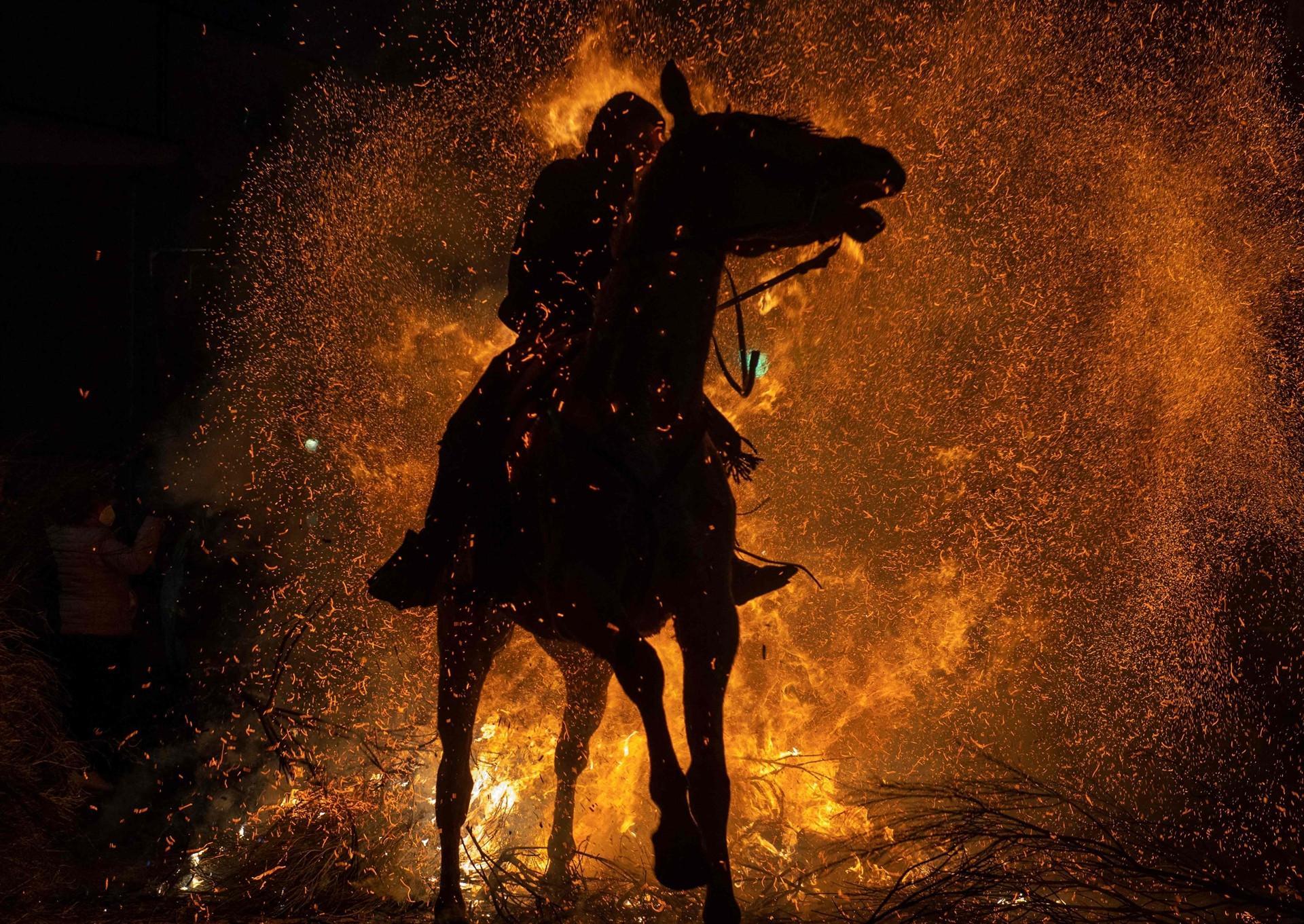 Spanish horses brave fire to fight virus
