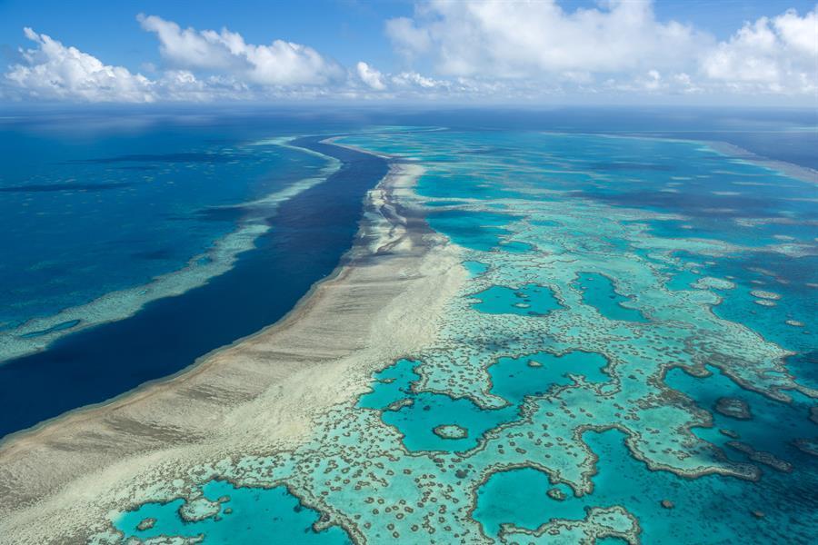 Australia pumps cash into Great Barrier Reef protection
