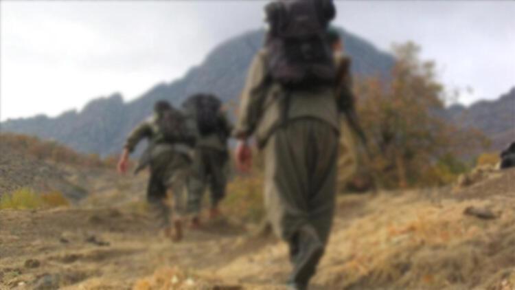 Senior PKK terrorist ‘neutralized’ in northern Iraq