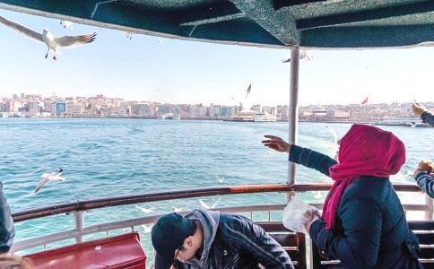 Istanbul home to 13 seagull species seen in Turkey: Expert