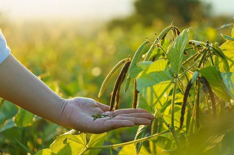 Government to support municipalities’ eco-friendly projects: Minister
