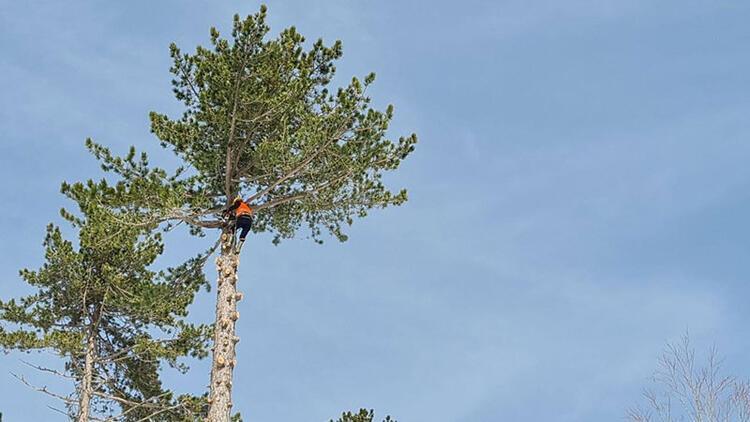 Workers make living 40 meters high up