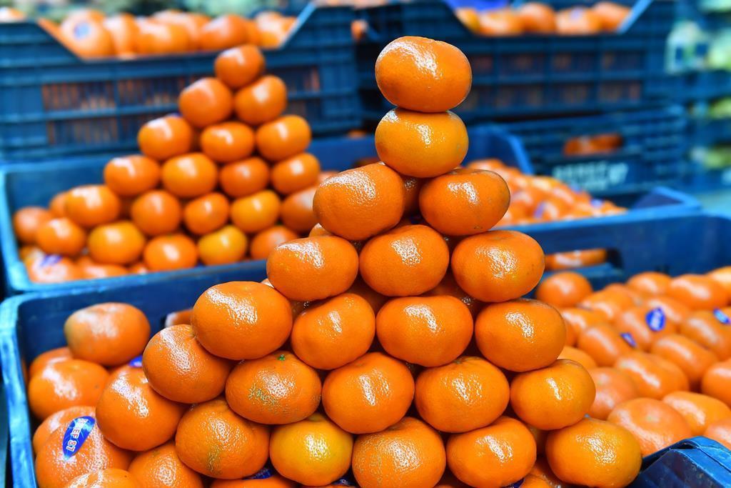 Fruit, vegetable exports hit $1.94 billion