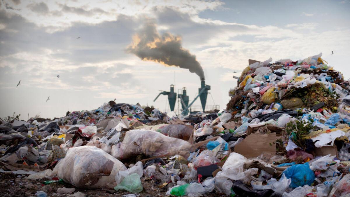 Bacteria upcycle carbon waste into valuable chemicals