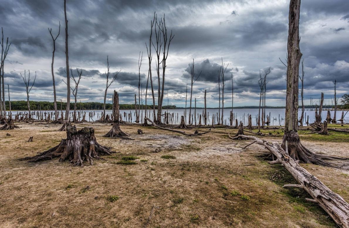 Climate change brings extreme, early impact to South America