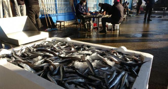 Fish prices increase due to drifting sea mines